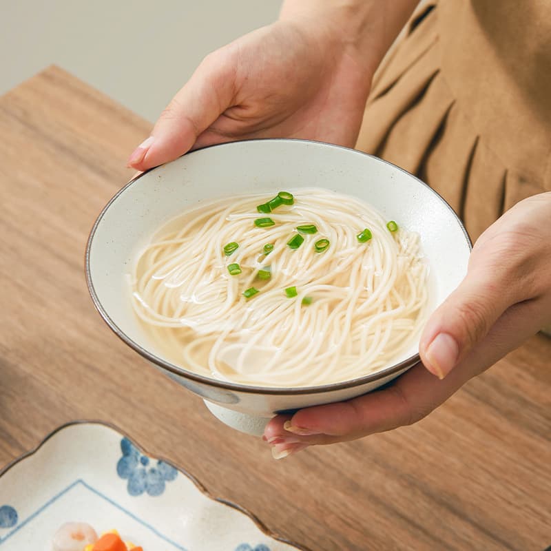 茶碗 手描き模様の和風飯茶碗